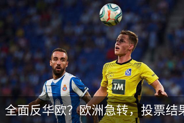 全面反华欧？欧洲急转，投票结果一边倒，欧盟：中国只懂一种语言
